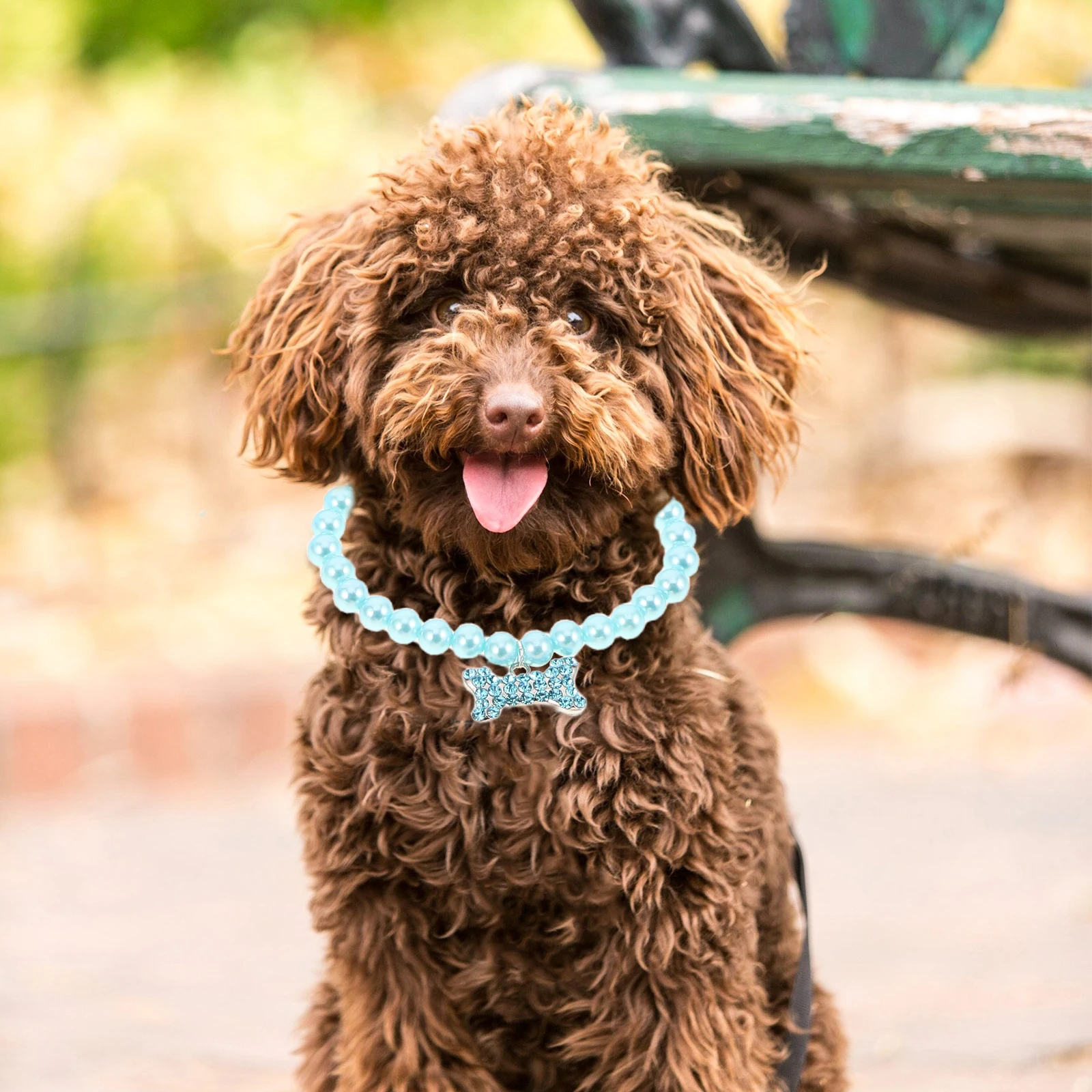 

Pet Pearl Necklace Cat Crystal Collar Pendant Small Dog Chain Jewelry for Cats Dogs Kitten