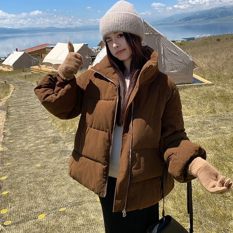 Women Parkas Short Coats Zipper Jackets Stand Collar Thick Warm Y2k Streetwear Elegant Jacket Work Coat Autumn Winter 2026