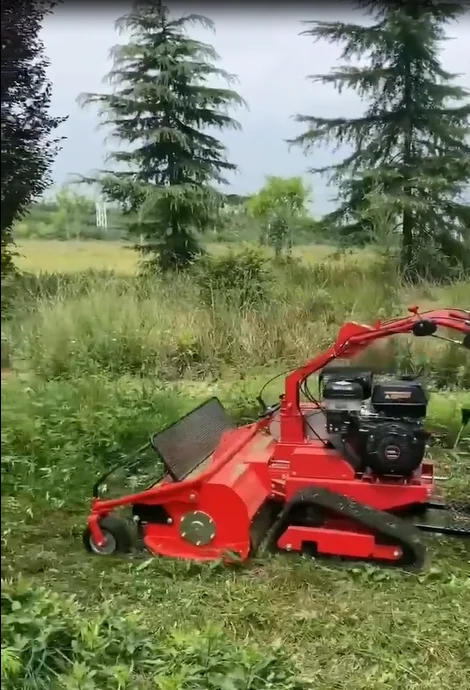 Prix de la tondeuse à gazon, é - Farming Agriculture In India avis et prix