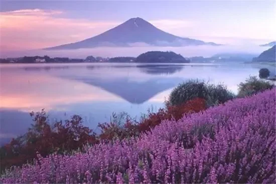 

Car Under Engine Guard Mudguard Board Splash Shield Mud Fender Plate Panel For Toyota Corolla US version 2019-2022