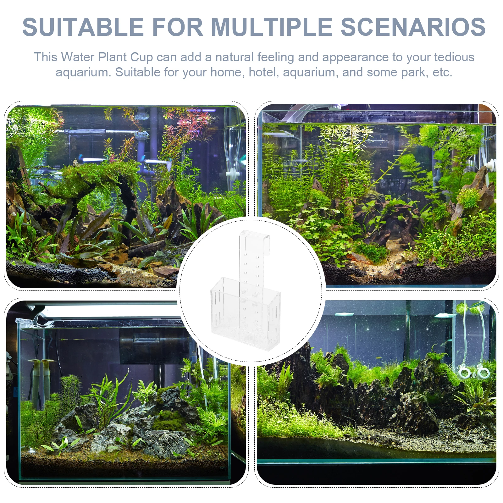 

Water Plant Cup Aquatic Planter Fish Tank Aquarium Reusable Acrylic Material Oxygenating Plants Container Hook Design Sloping