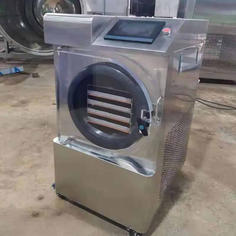 Commercial Vacuum Freeze Dryer For Pet Food Fruits Vegetables Home Lyophilization Machine