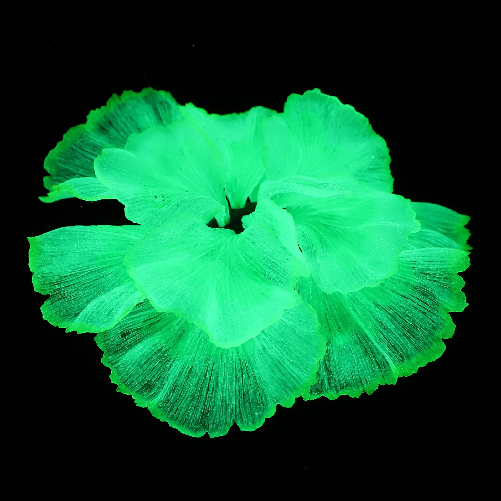 

1Pcs Aquarium Aquatic Plant Fake Simulation Fish Tank Decoration Non-Fading Landscaping Plant Artificial Silicone Ornament
