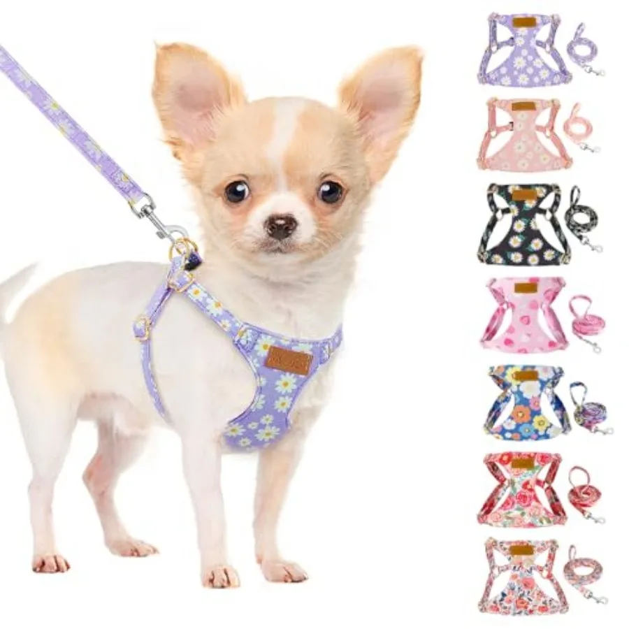 

Dog Harness Small Sized Dog - Soft XXS Dog Harness and Leash Set No Pull No Chock, Adjustable Lightweight Puppy Harness for XS