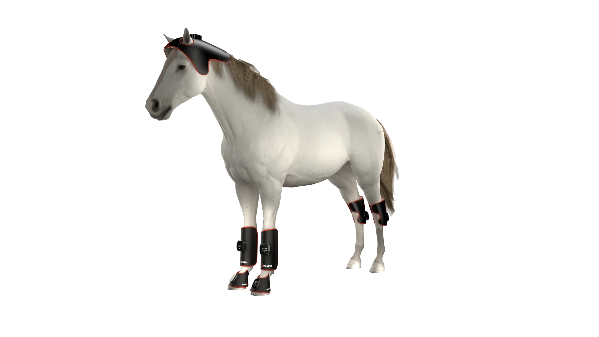 High Power LED Light Therapy Belt For Horses 660nm Red Light Double LED Chip Veterinary Instrument