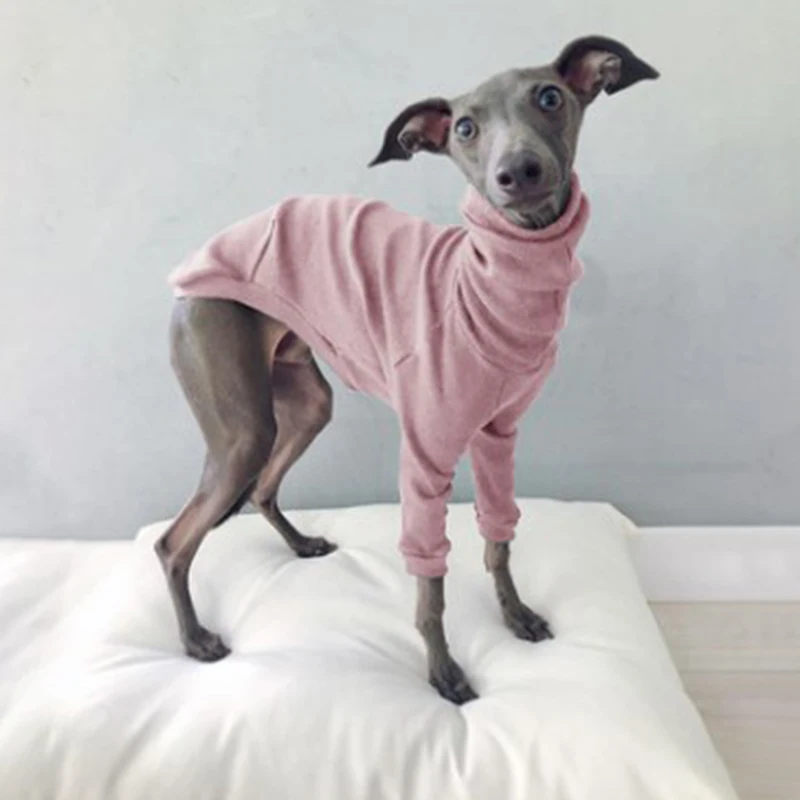 Abrigo de cuello alto de algodón para perros tipo galgo whippet_voghion.com