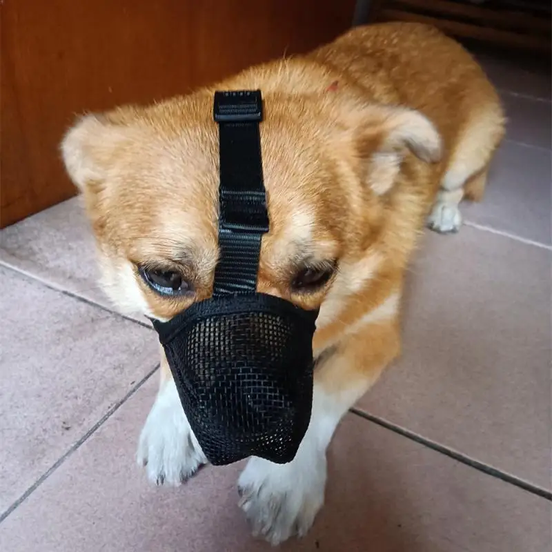 Dog Muzzle Prevent Licking And Biting Breathable Mask Corgi Anti-bite Pet Dog Supplies Pet Muzzle Effective Barrier Corgi Muzzle