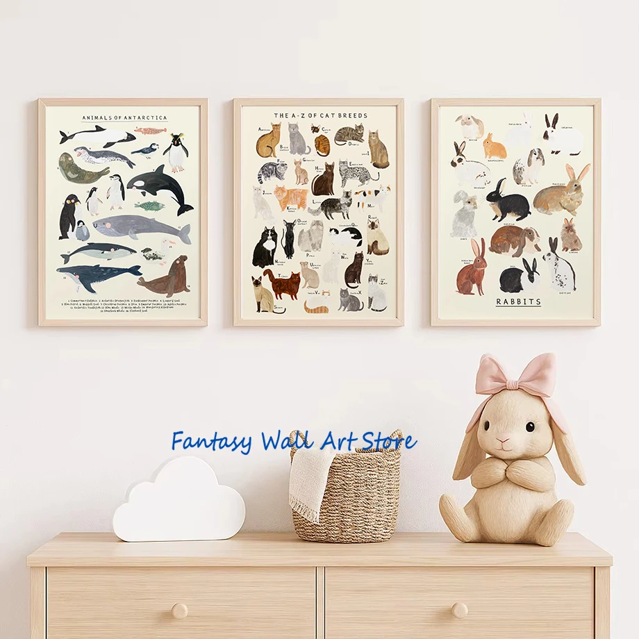 Animals Illustration African Asian North American Australian European Nursery Educational Poster Canvas Painting Wall Pictures