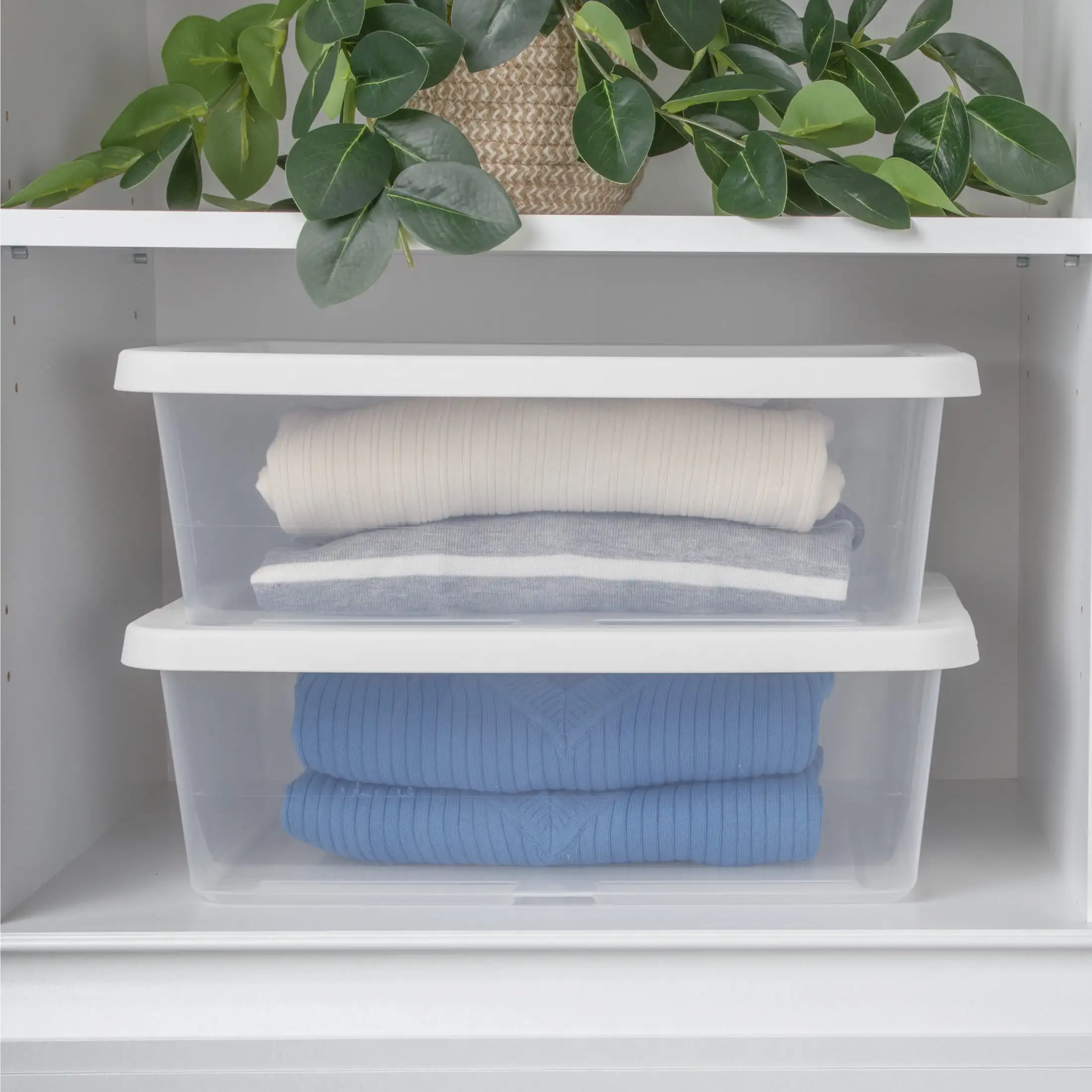 (Paquete de 3) Contenedor de Almacenamiento Pequeño de 12 Cuartos, Contenedor de Plástico Transparente con Tapa a Presión, Blanco