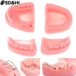 2/4pcs/set Dental Oral/Gum Suture Training Module Silicone Periodontitis Suture Model Dental Oral Suture Training Module