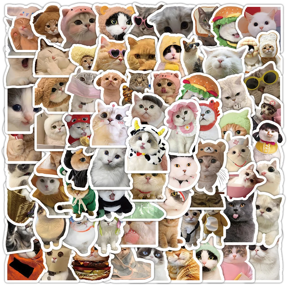 10/50/100pcs Funny Cat Stickers Cartoon Cute Decals Toy Stationery Guitar Phone Bicycle Laptop Luggage Car Graffiti Kids Sticker