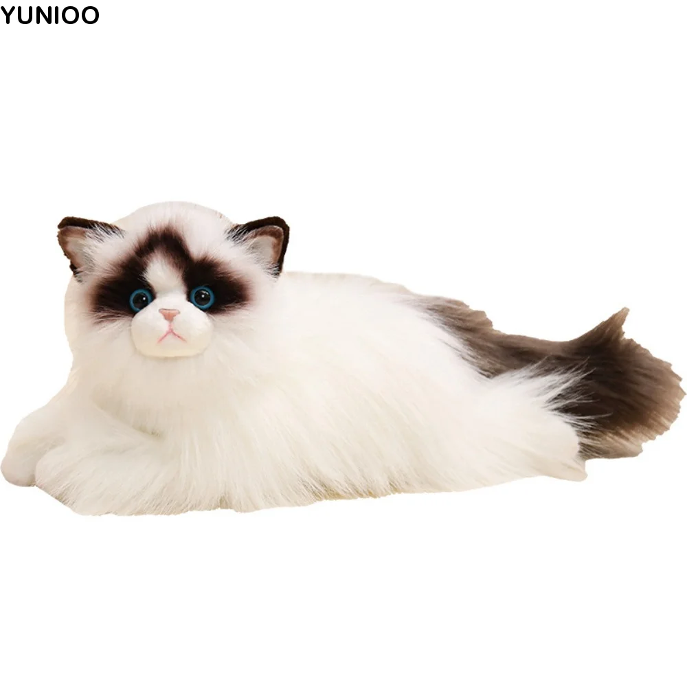 

Stuffed Doll Simulated Cat Plush Toys Fluffy Collection Ragdoll Cat Plush Toy Long Hair Cute Plush Kitty Figures Toy