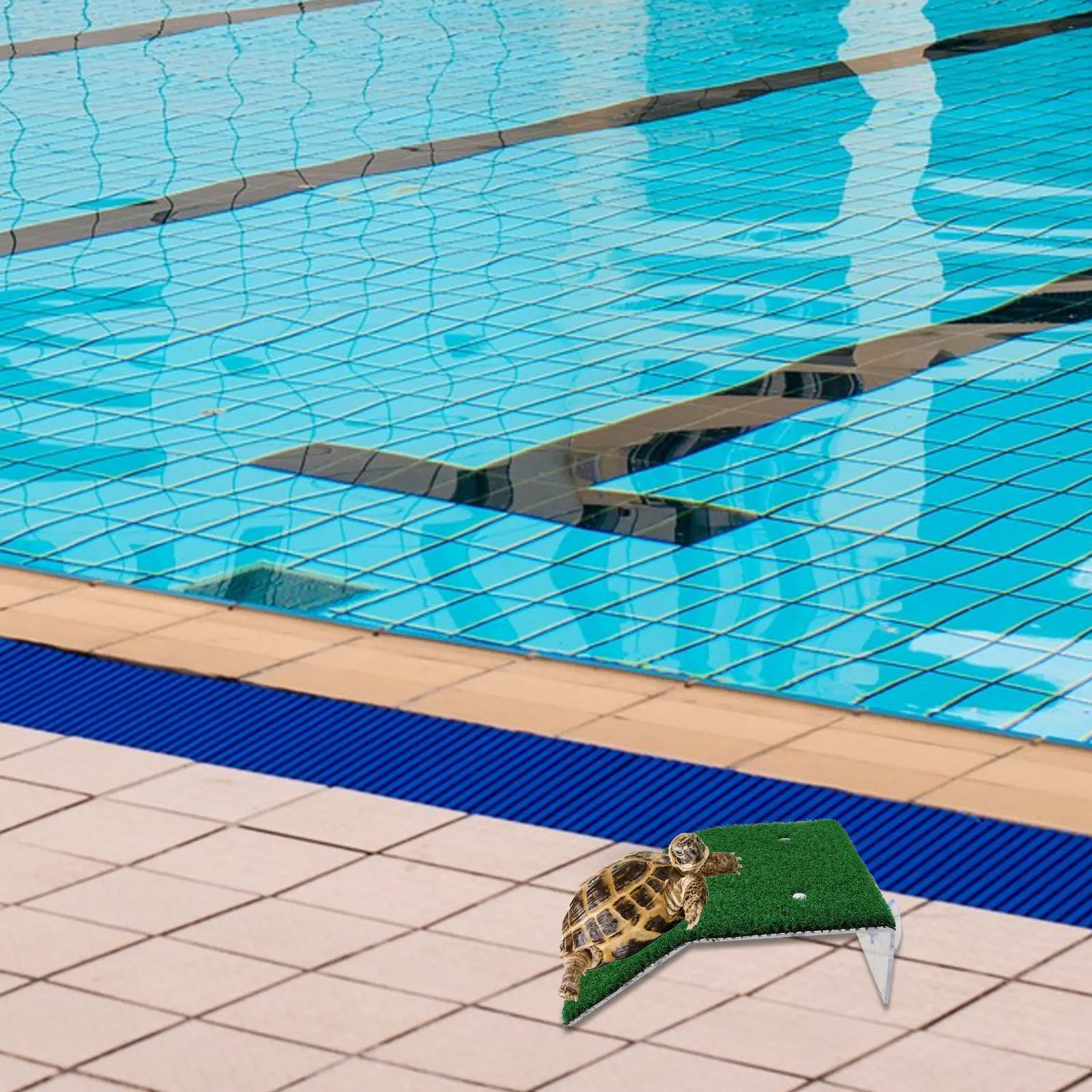 

3Pcs Pool Animal Escape Ramp Compact Critter Rescue Ladder for Ponds Pools Safe Exit for Frogs Reptiles Small Mammals Easy