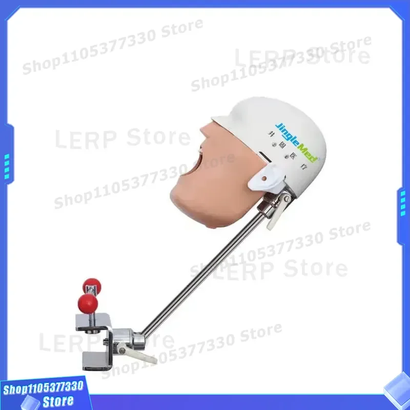Dental Phantom Head Silicone Mold for School Education Equipment Training Practice Model Kit Student Learning Tool Silicone