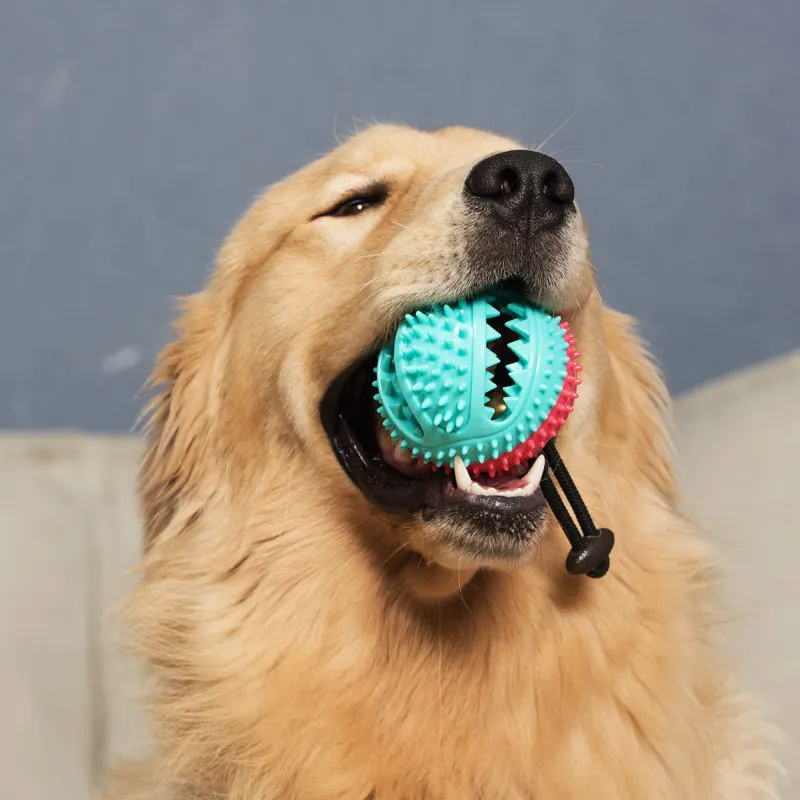 Durable Rubber Treat Dispensing Dog Chew Ball Built-in Bell Sound Teeth Cleaning Molar Toy Interactive Puzzle Relief Play Ball