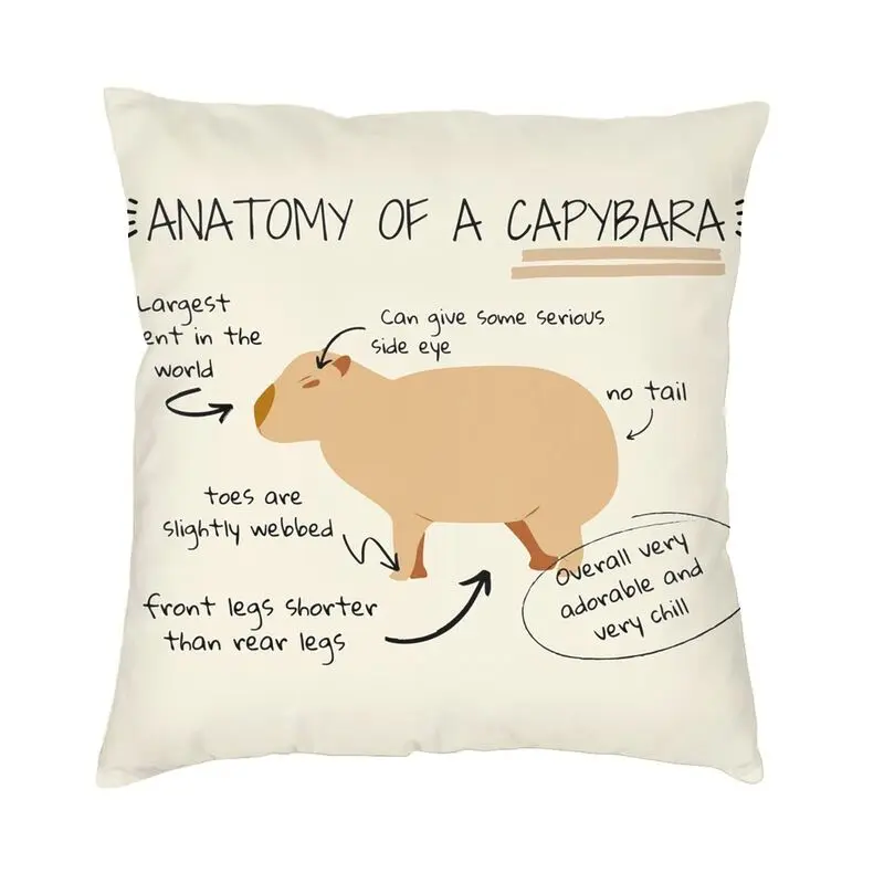 Anatomy Of A Capybara Square Pillow Cover Home Decorative Cushion Cover Throw Pillow for Sofa Double-sided Printing