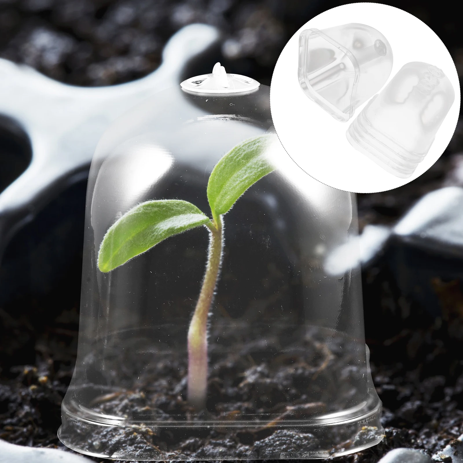 

5Pcs Transparent Flowerpot Cover Mini Greenhouse Plant Dome Bell Covers Garden Protection Dome for Plants