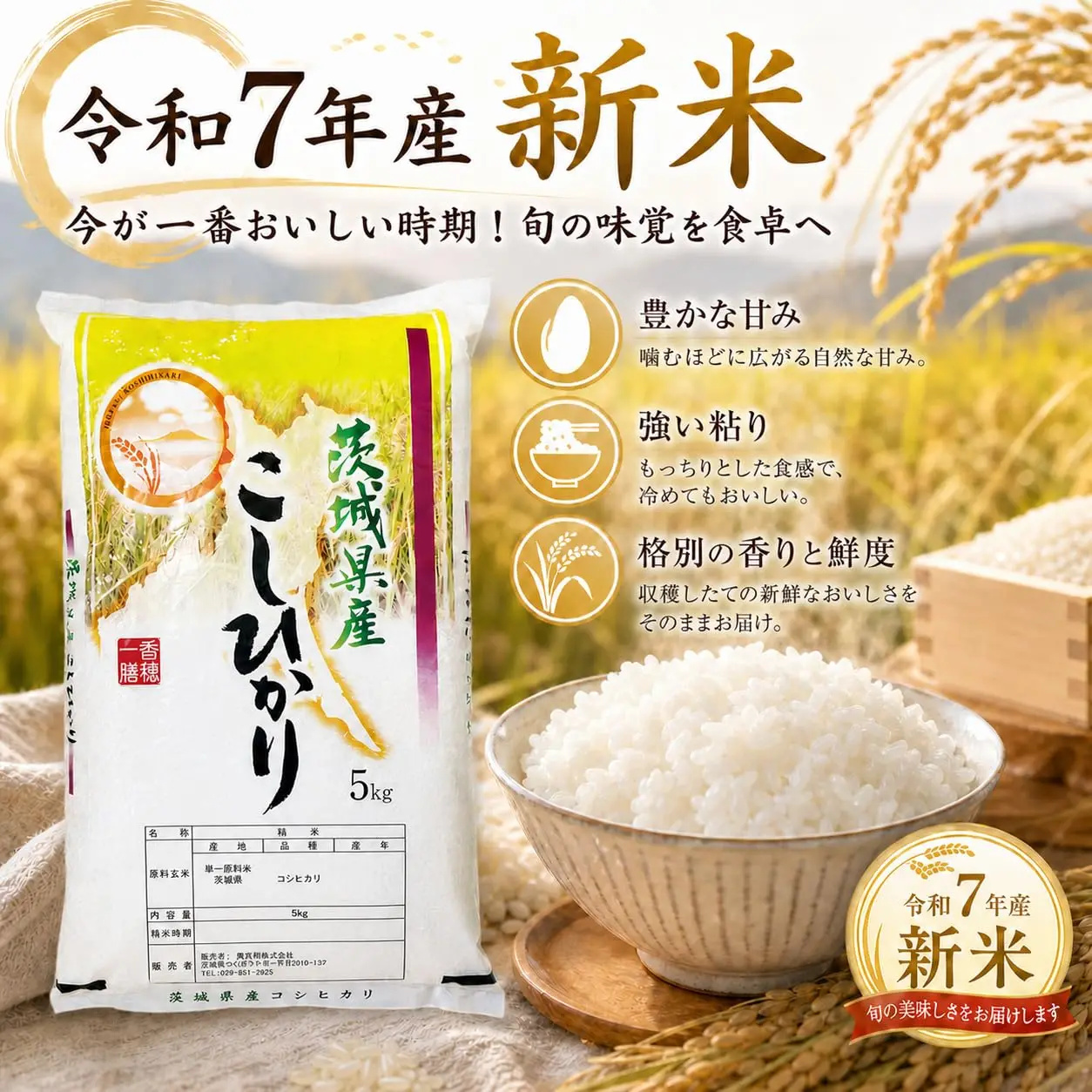 令和7年産 26年5月中旬精米 茨城県産 コシヒカリ 5kg、10kg  精米 新米  家庭用 大容量 ご飯がおいしい甘み強い米 白米 お徳用
