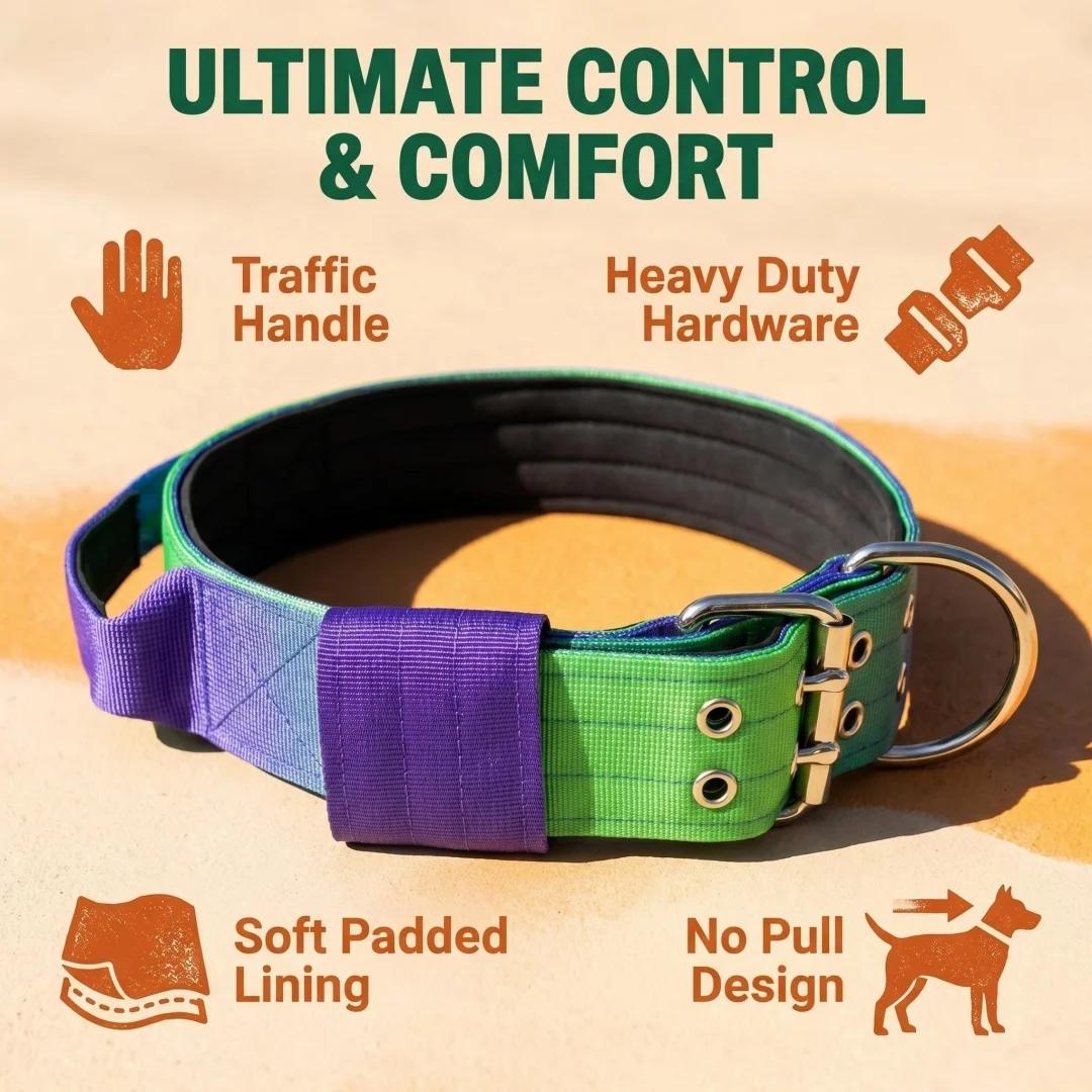5cm Wide Heavy Duty Dog Collar and Leash Set Double Buckle Neoprene Padded Gradient 150cm Anti-Pull Leash for Large Dogs