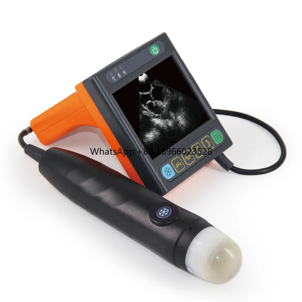 

New Design Veterinary Medical Equipment Pig Sheep Livestock Ultrasound Scanner for Animals