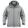 Light Gray