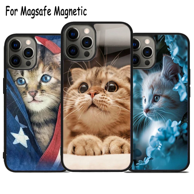 Cute American Ringtail Kitten Cat Wireless Magsafe Phone Case For iPhone 15 16 14 13 11 12 Pro Max Plus Magnetic Bumper Cover