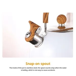 En iyi 10 satış, su ısıtıcısı, ocak, indüksiyon-no. 2