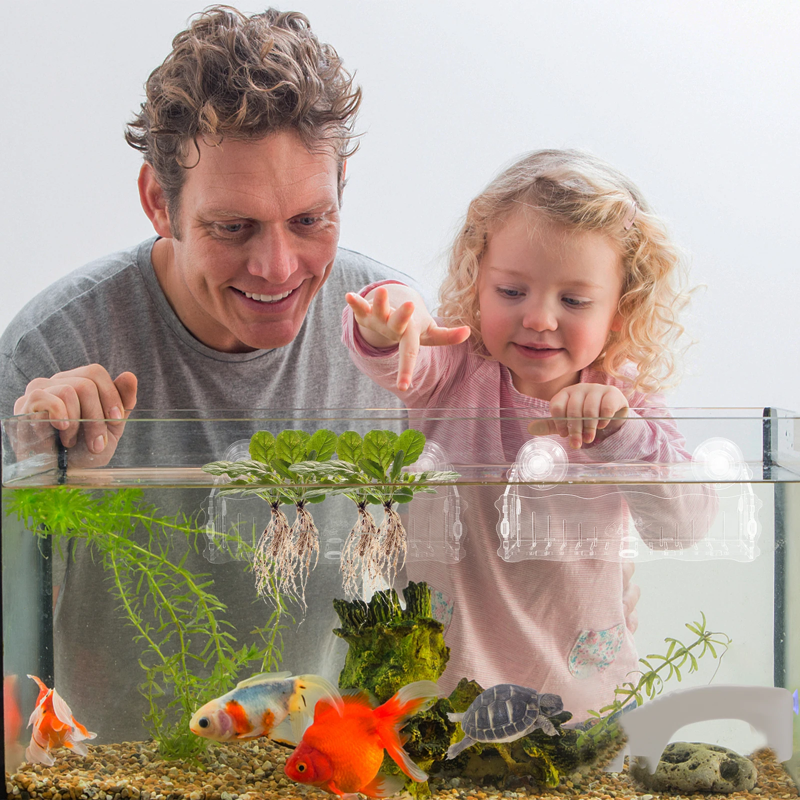 

Wall-mounted Plant Fixing Rack Fish Tank Flower Pot Aquatic Plants Holder Planter with Suction Cup Hanging Aquarium Water