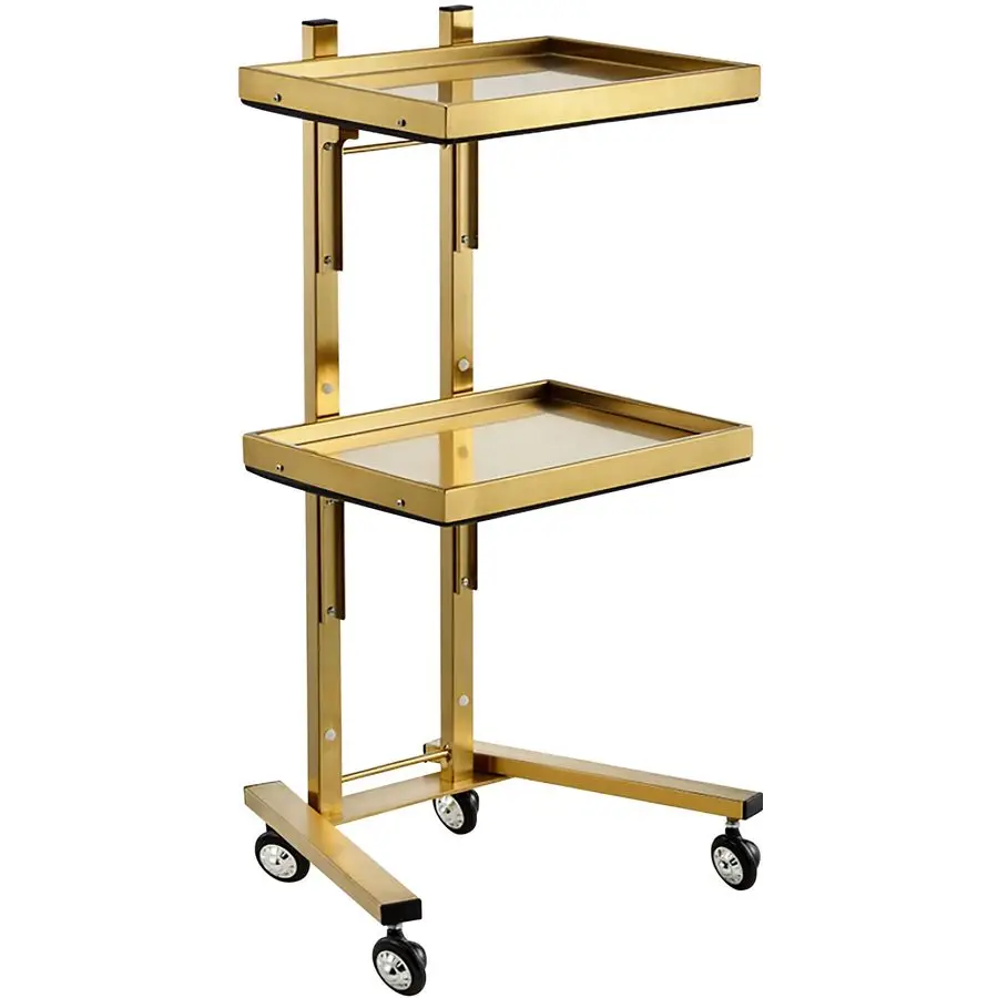 

2Tray Utility Cart on Wheels Gold 2Level Medical Trolley Cart Mobile Storage Tray Cart for Dental Tools, Cavitation Machine, Sal
