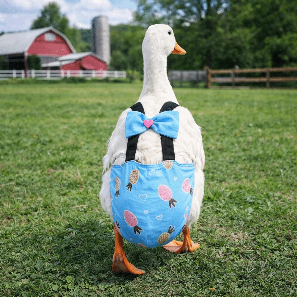 Adjustable Duck Diapers Bowknot Design Elastic Band Chicken Physiological Pants Breathable Washable Flight Suits Pet Chicken