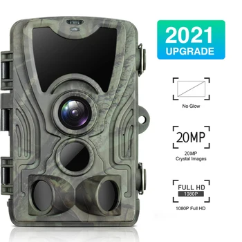 Night Vision Trail Camera 1