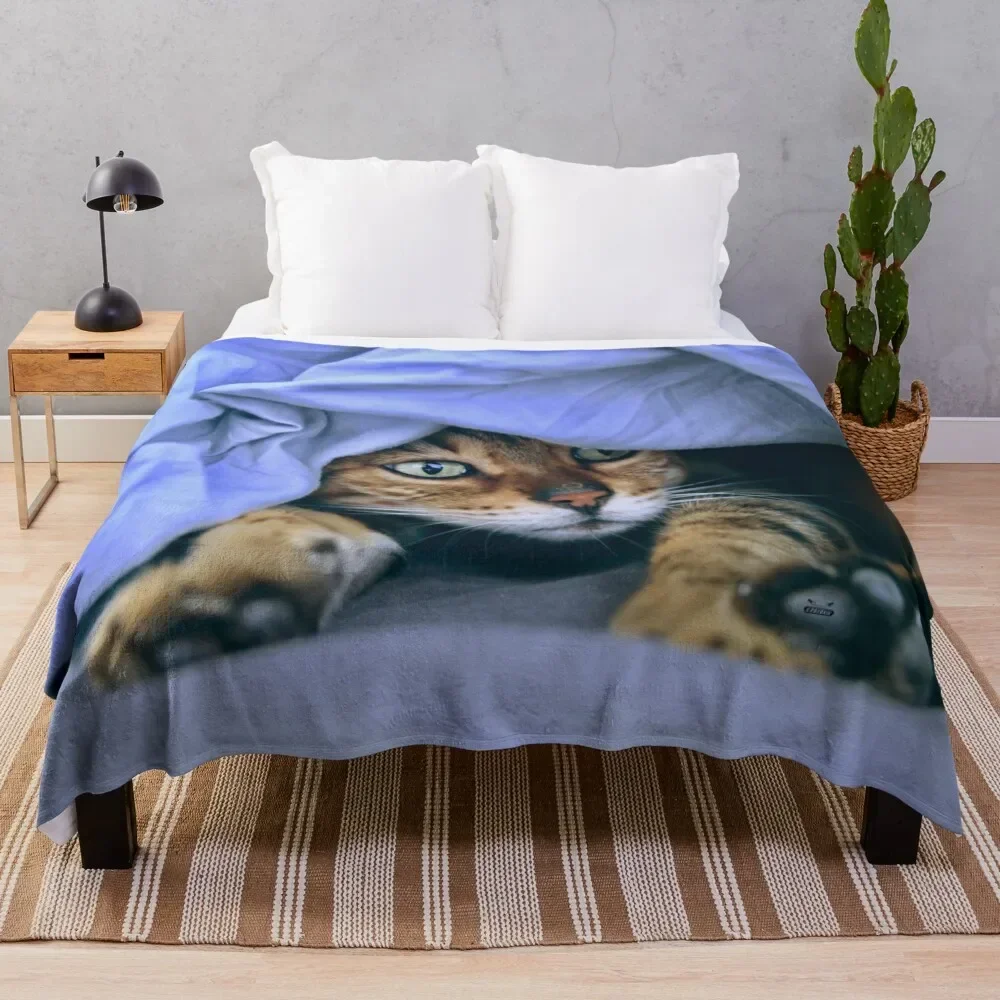 Cat in the nest / Swiss Artwork Photography Throw Blanket Kid'S Decorative Sofa Soft Decorative Throw Blankets