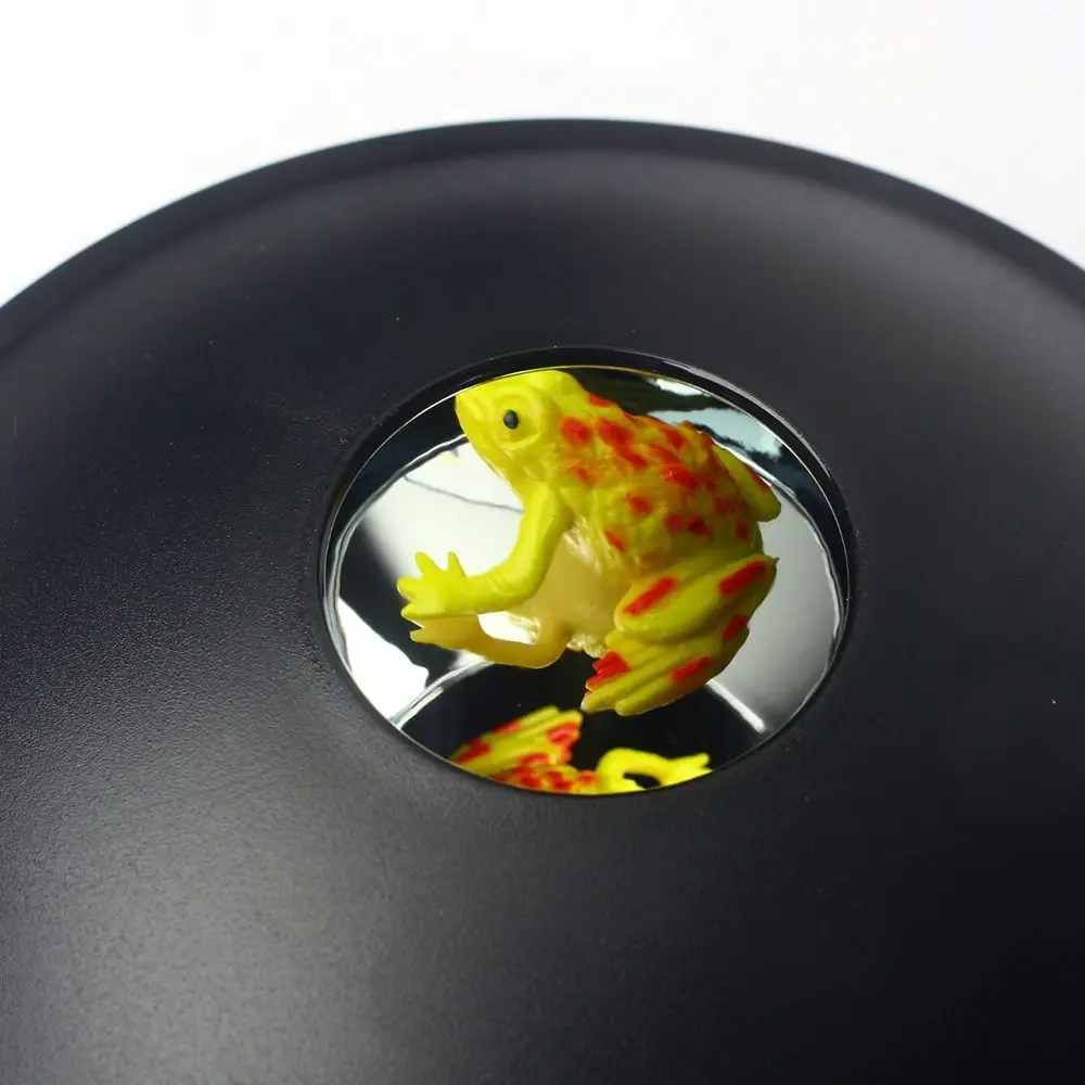 

Image Projection 3D Magic Mirascope Mirascope Optical Illusion Creator Black Hologram Maker Removable Education Science