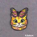 PE10313CT