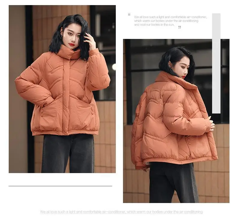 2025 moda Otoño/Invierno nueva chaqueta de plumón para mujer Chaqueta corta con cuello levantado para ir al trabajo