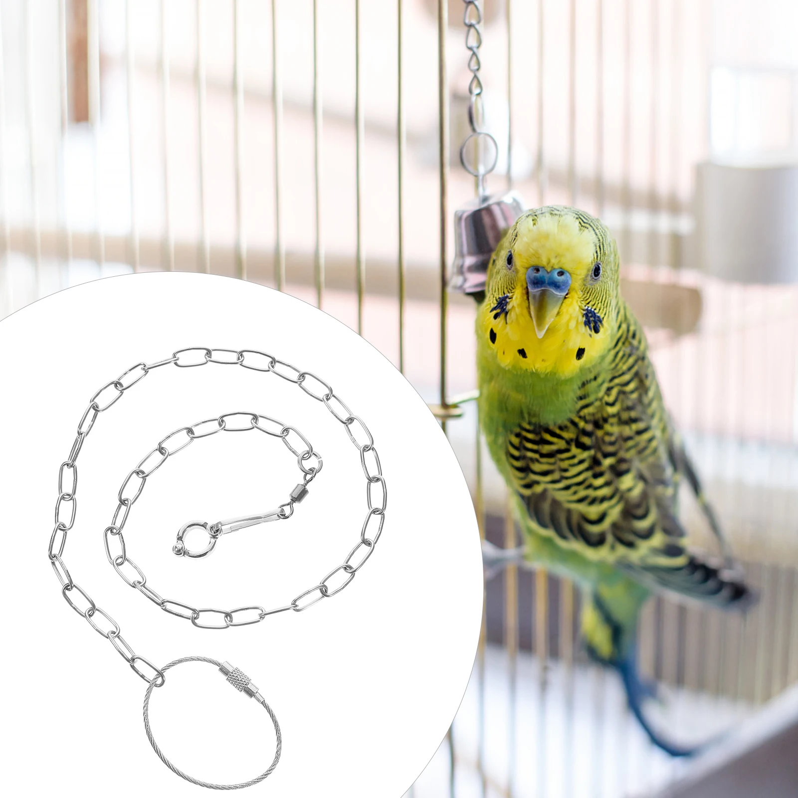 Stainless Steel Bird Chain Birds Foot Rope Parrot Accessory Leash for Parrots Harness