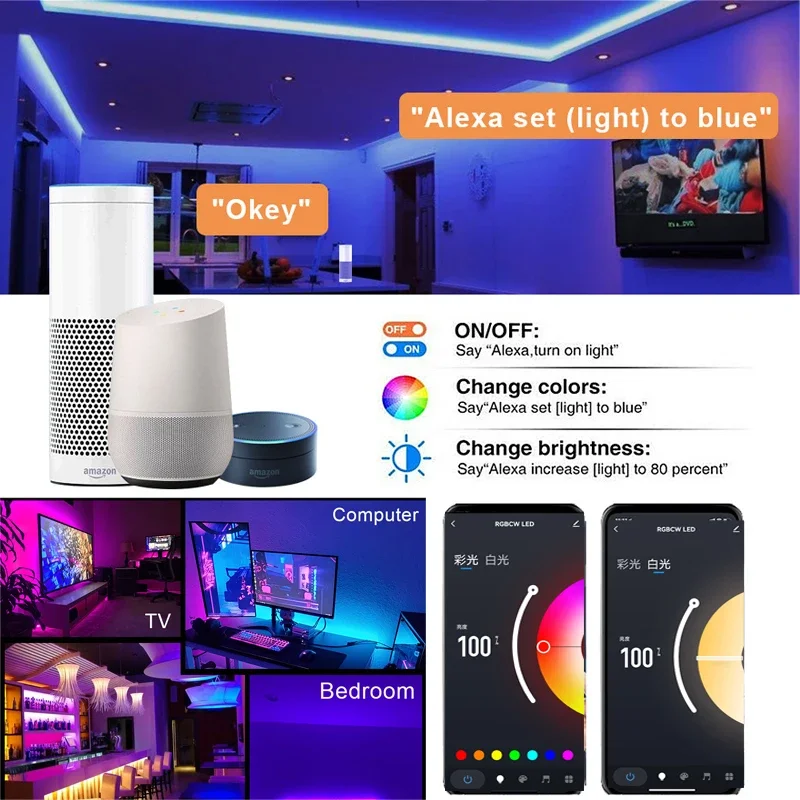 Tuya Wifi 5in1 LED Strip Lights Kit DC12V 5050 RGBCCT RGB+W+WW APP/Voice/Remote Control Smartlife for Alexa Google Home 1M-5M