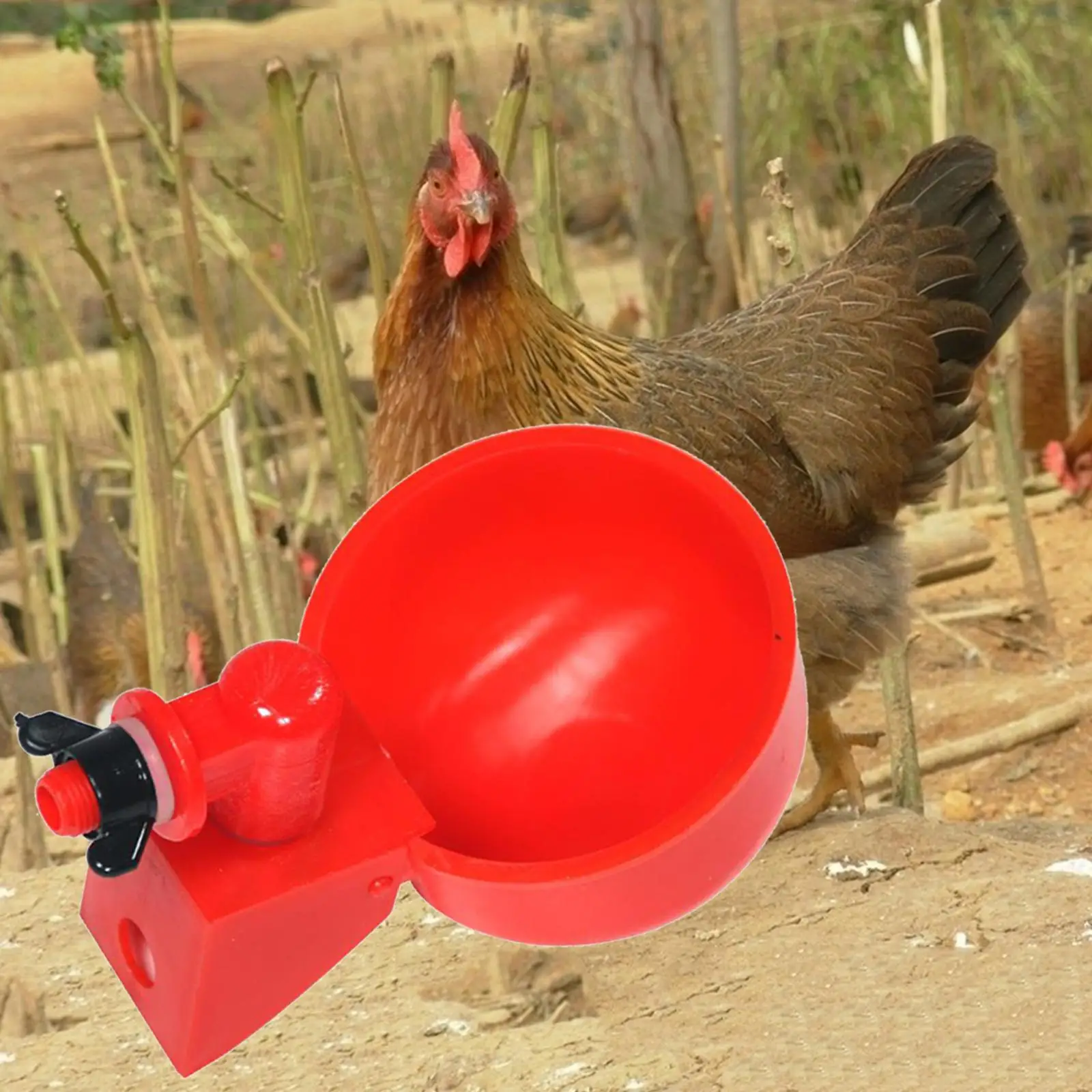 Poultry Automatic Watering Cups Farm Plastic Waterer Hen Goose Pigeon Feeder Chicken Watering Cups Breeding Fountain