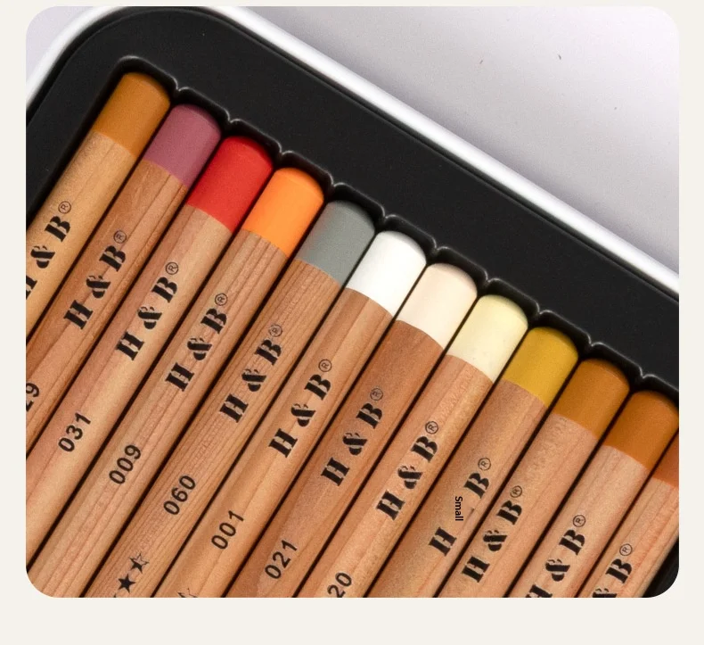 H&B 24-Farben Kreide-Pastell-Porträtstifte Wasserlösliches Hautfarben-Set 4mm Kerne Reichhaltige Pigmente für professionelle Künstler und Illustratoren – Detail 9