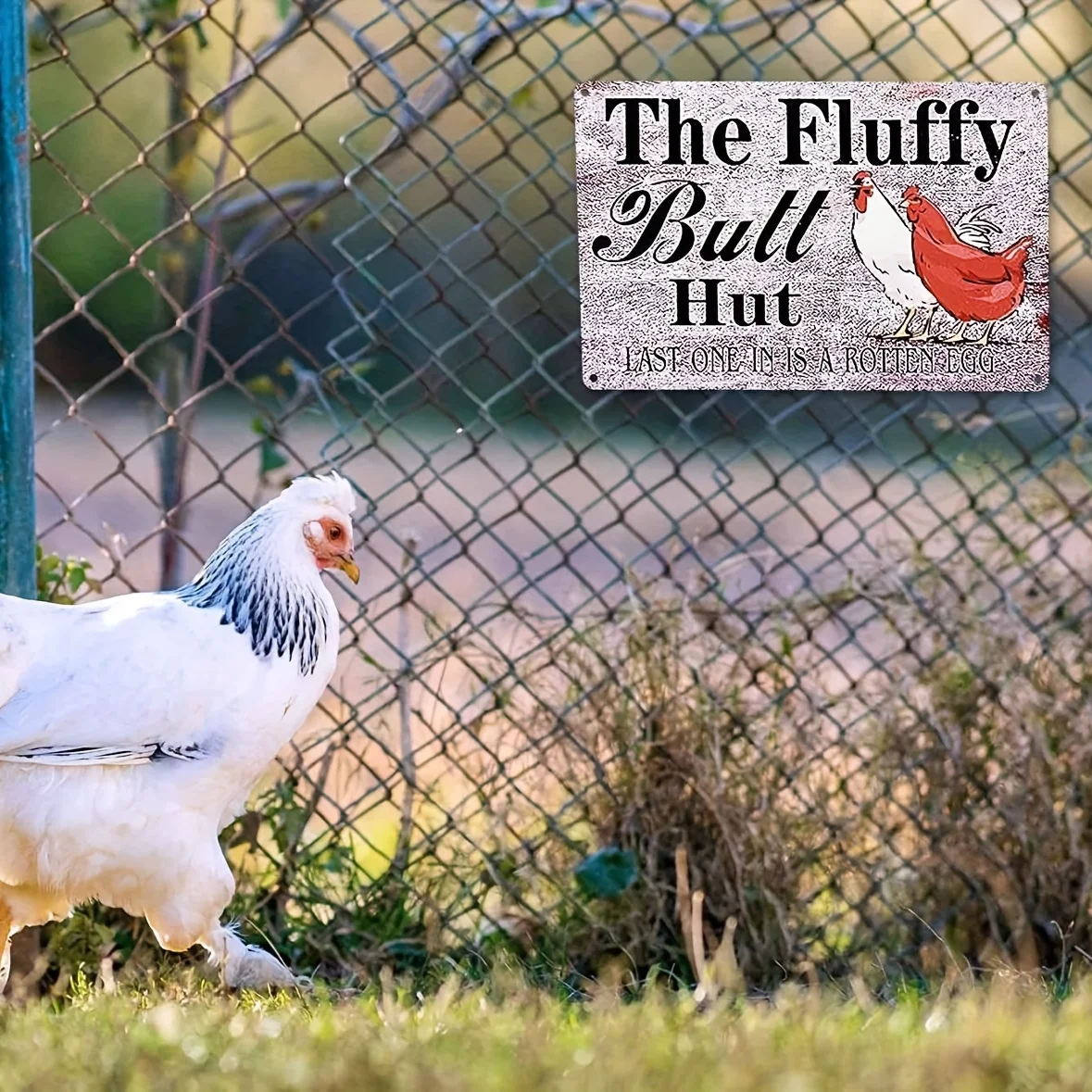 1pc Metal Sign Protected By Funny Chicken Sign Chicken Coop Warning Sign Outdoor Chicken Decor 8x12in