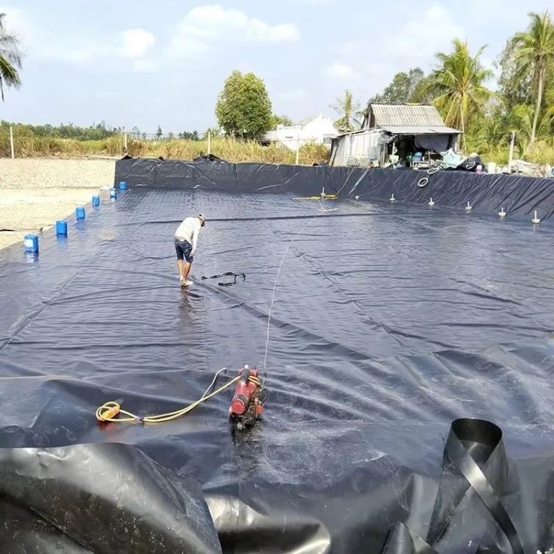 Custom Size HDPE Geomembrane Liner Price Based on Thickness Area Roll Size and Destination