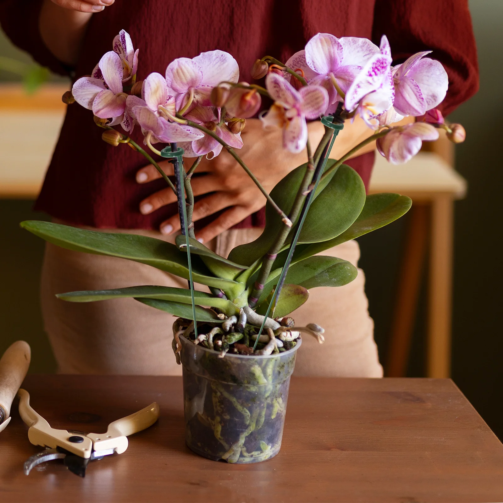 

12Pcs Plant Support Stakes Plastic Garden Trellis for Orchids Peonies Roses Single Stem Flowers Support Frames Garden Plant