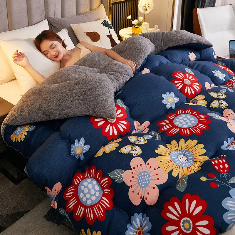 

Lamb wool winter quilt household thickened warm quilt core autumn and winter dormitory students single double winter quilt