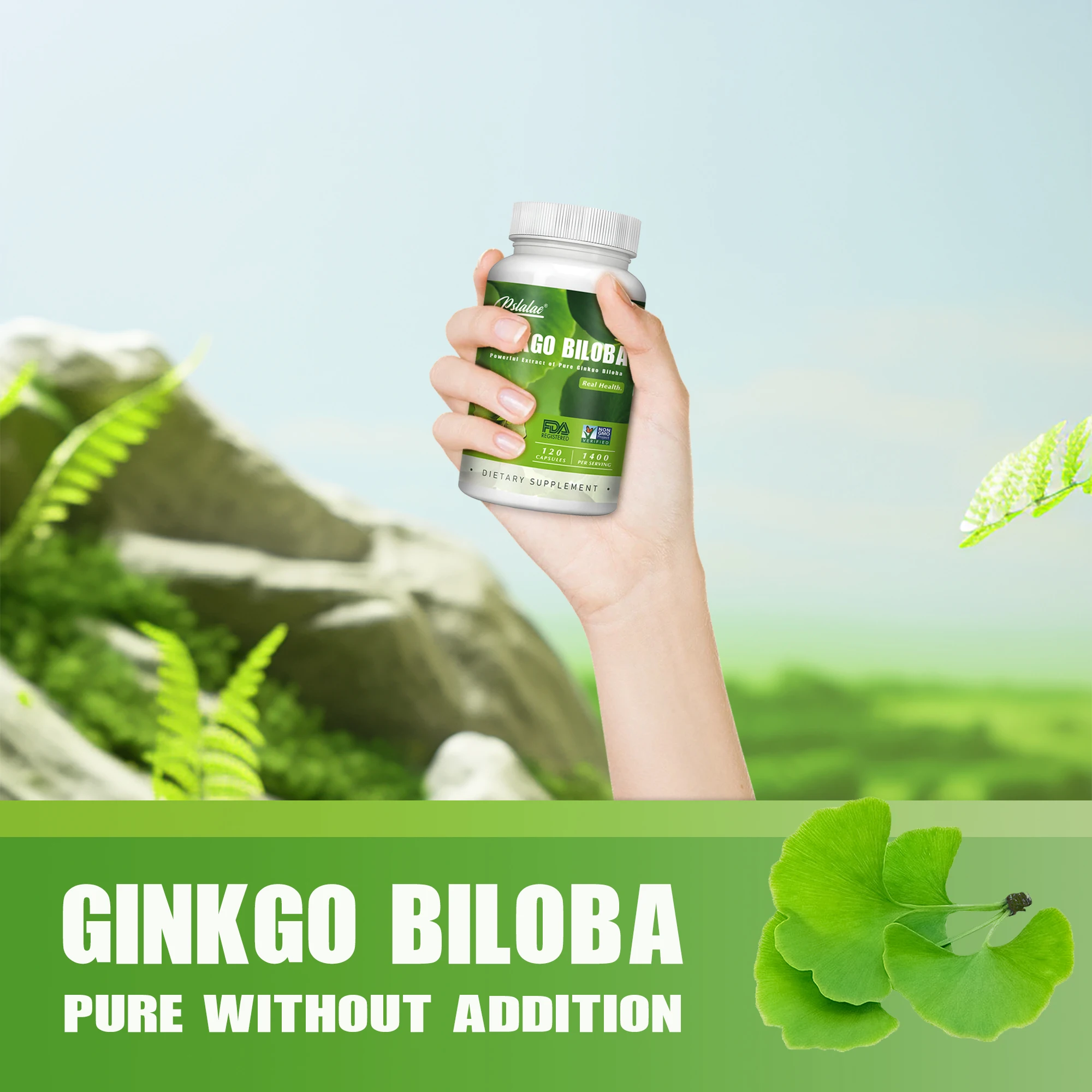 Ginkgo Biloba - Focus Brain Memory Metabolism Booster and Mood Soother