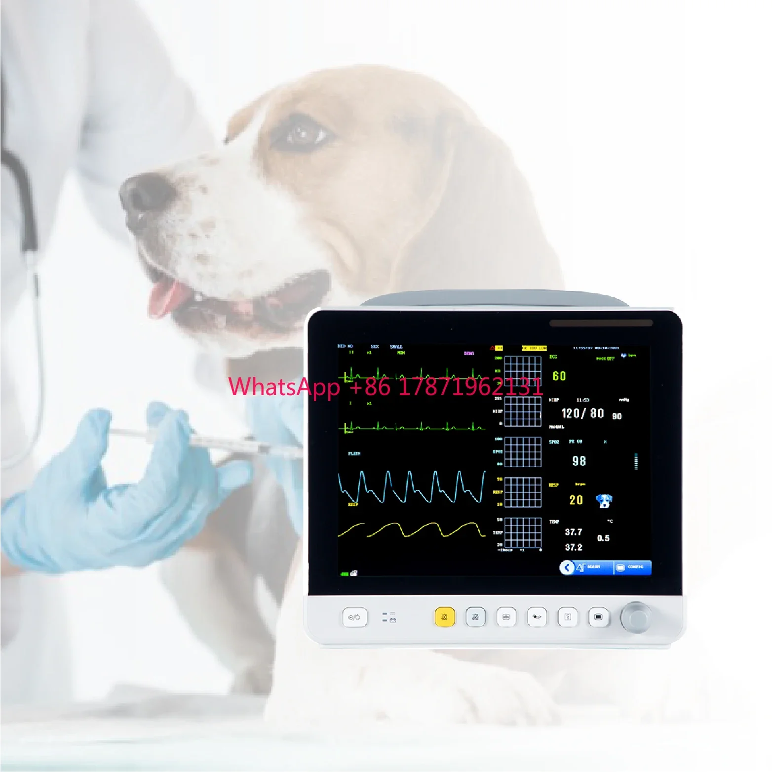 

ICU Veterinary Multi Parameter Medical Monitor