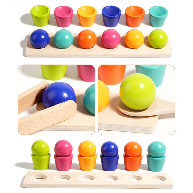 Jouets éducatifs Montessori en bois pour enfants, boule de couleur assortie, tasses empilables, jeu de Cognition, apprentissage préscolaire, outils pédagogiques