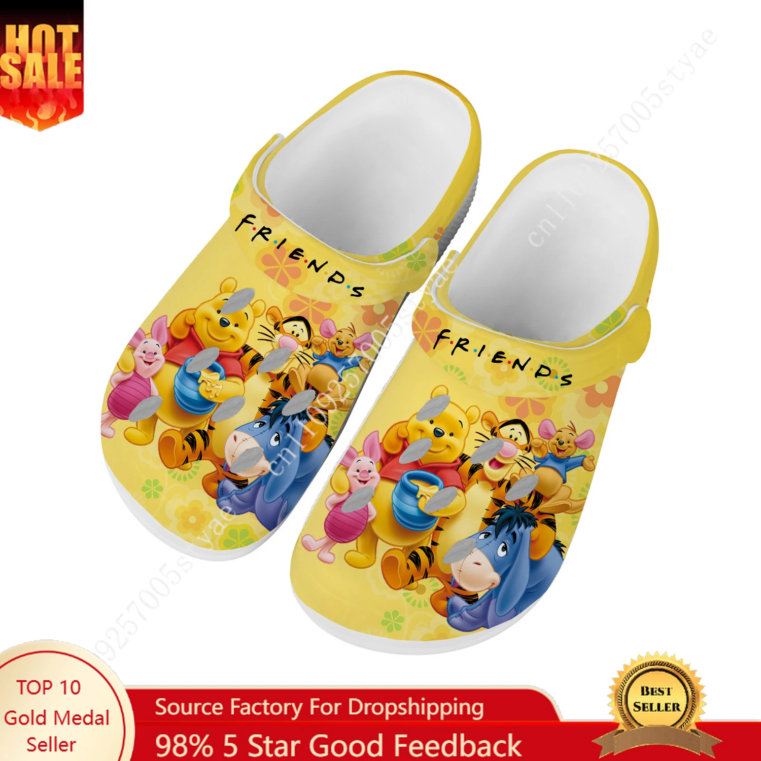 

Disney Winnie The Pooh And His Friends Water Shoes Men Women Home Garden Clogs Customizd Sandals Beach Breathable Hole Slippers