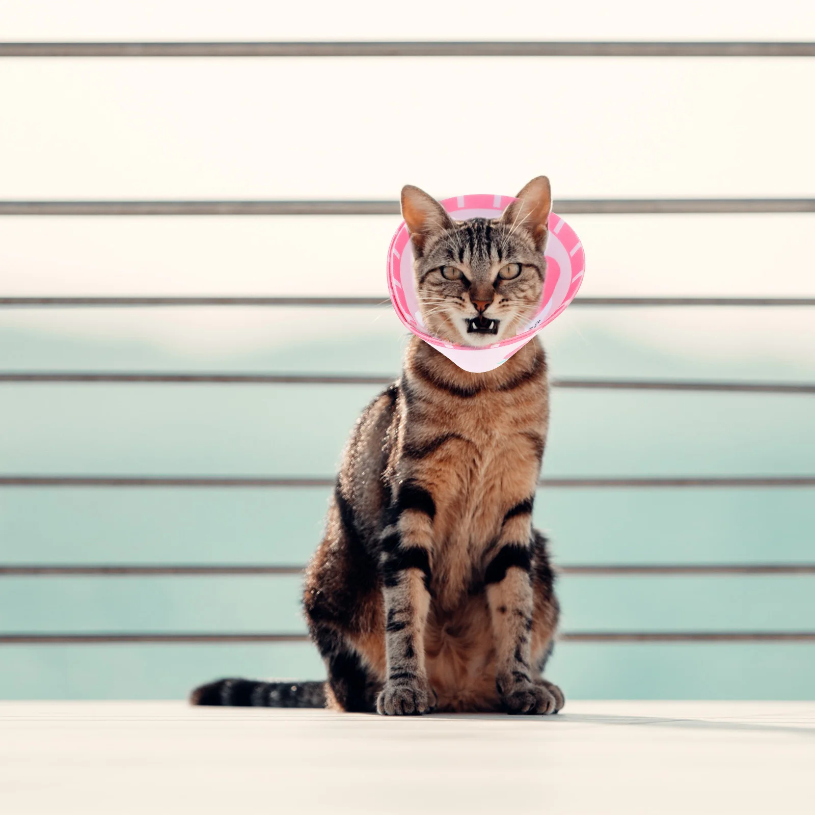 ورأى القط طوق قابل للتعديل المضادة للخدش واقية الرقبة دائرة بعد الجراحة الحيوانات الأليفة الانتعاش طوق الحيوانات الأليفة ملحق القط الرقبة ديكور