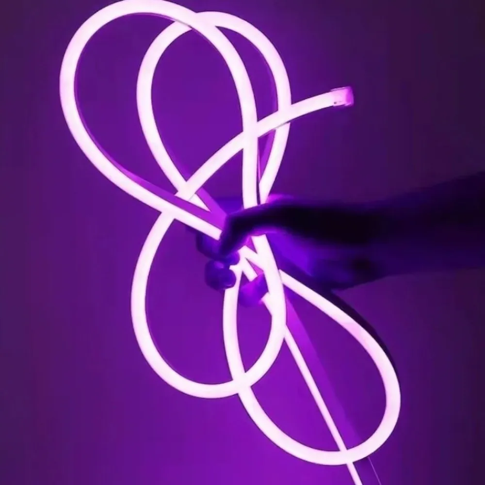 Side-Emitting LED Strip Light Bendable Waterproof LED Neon Light with Plug Bright Flexible Neon Light Christmas Decoration