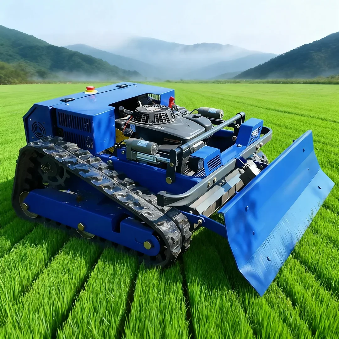 Customized Ce Appro… - image